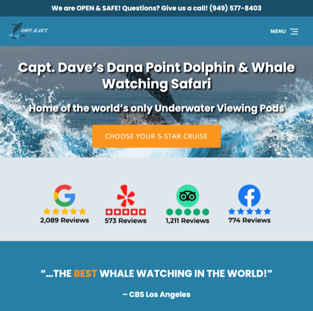 dolphin safari website trust factors